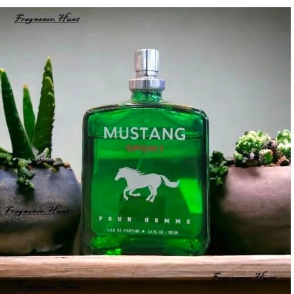 Mustang Sport - Image 2