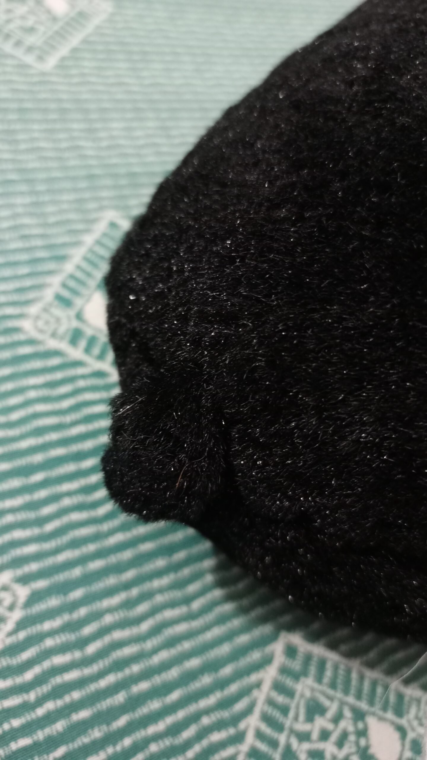 0 2592x4624 0 0# 0 2592x4624 0 0#