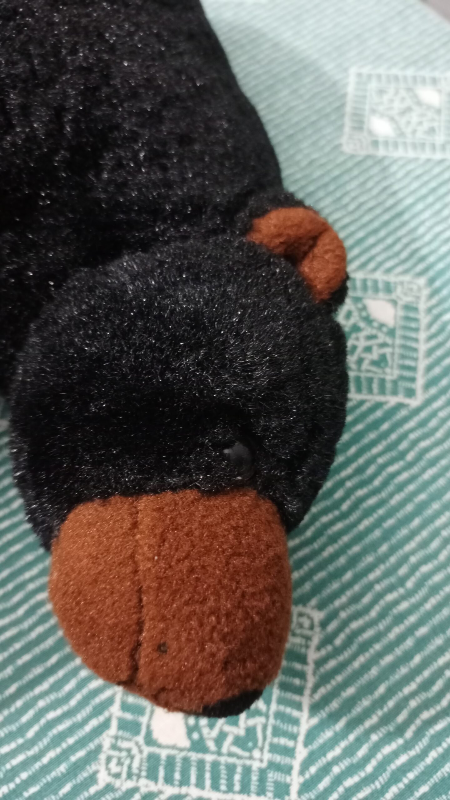 0 2592x4624 0 0# 0 2592x4624 0 0#